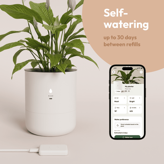 LeafyPod Starter Package