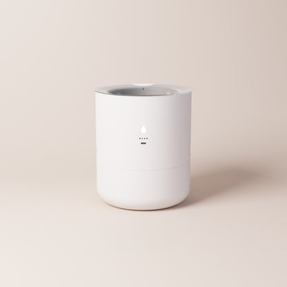 LeafyPod Planter (No Bridge Included)